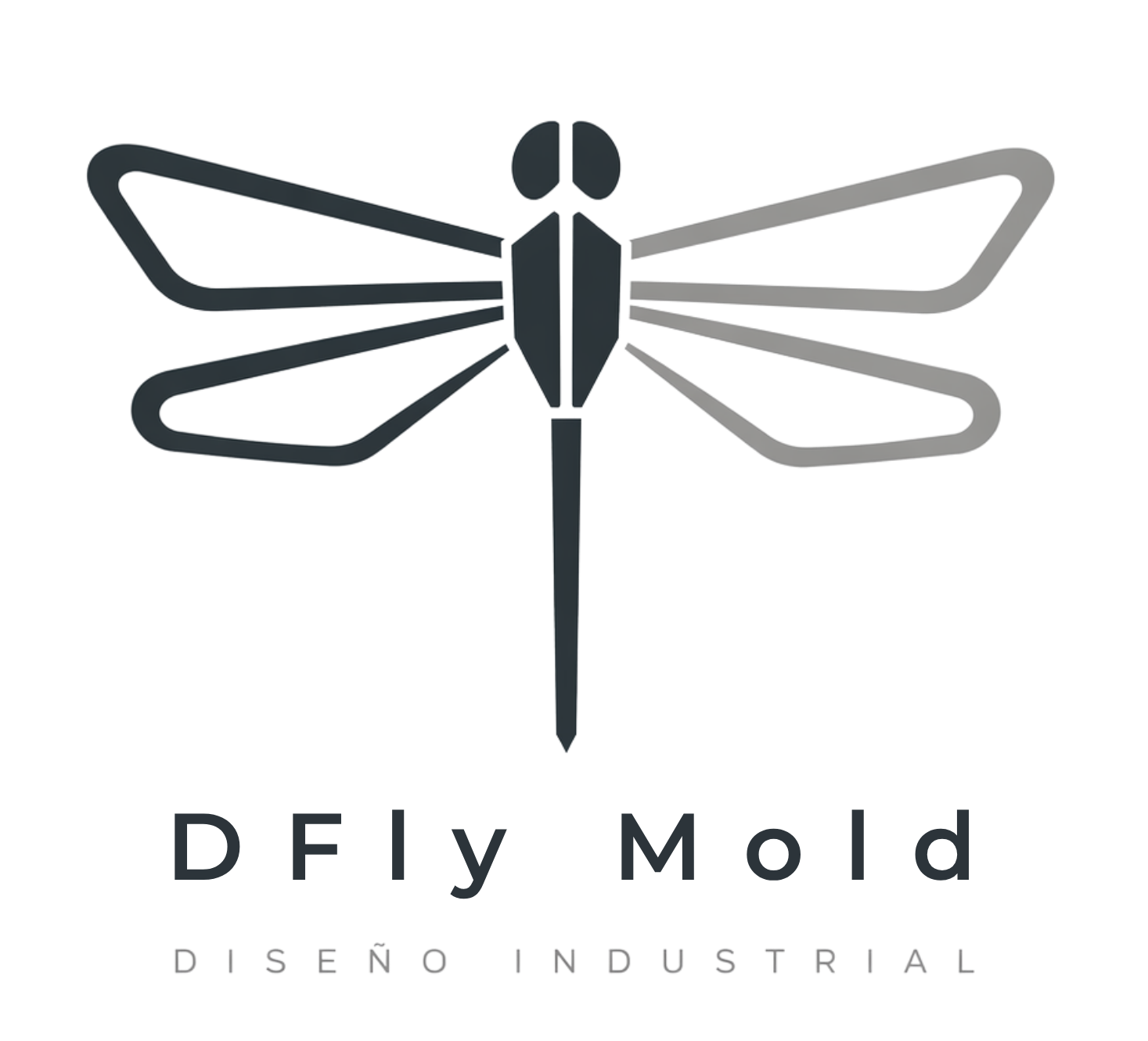 logo DFly Mold transparente