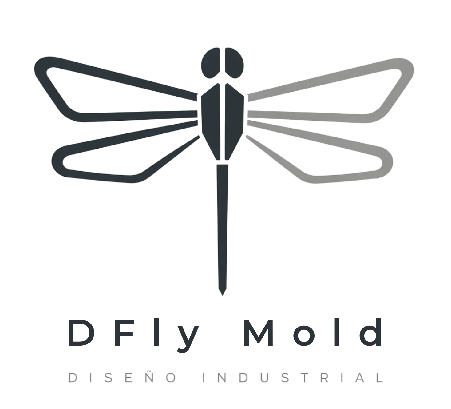 logo DFLy Mold