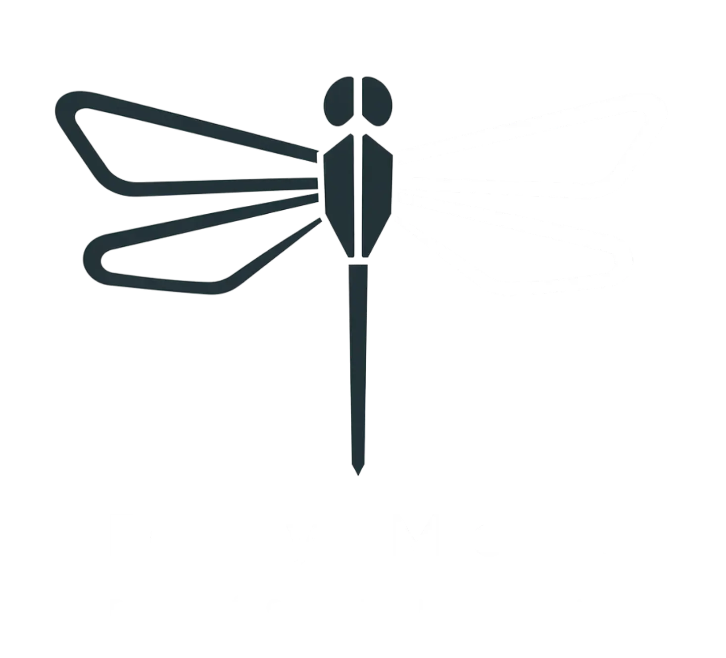 DFly Mold